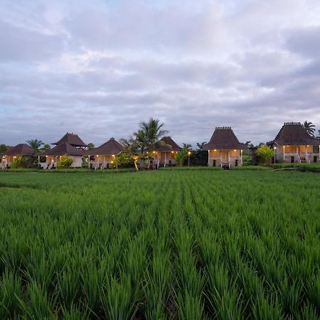 Uma Sebatu Villa Tegallalang  Exteriér fotografie