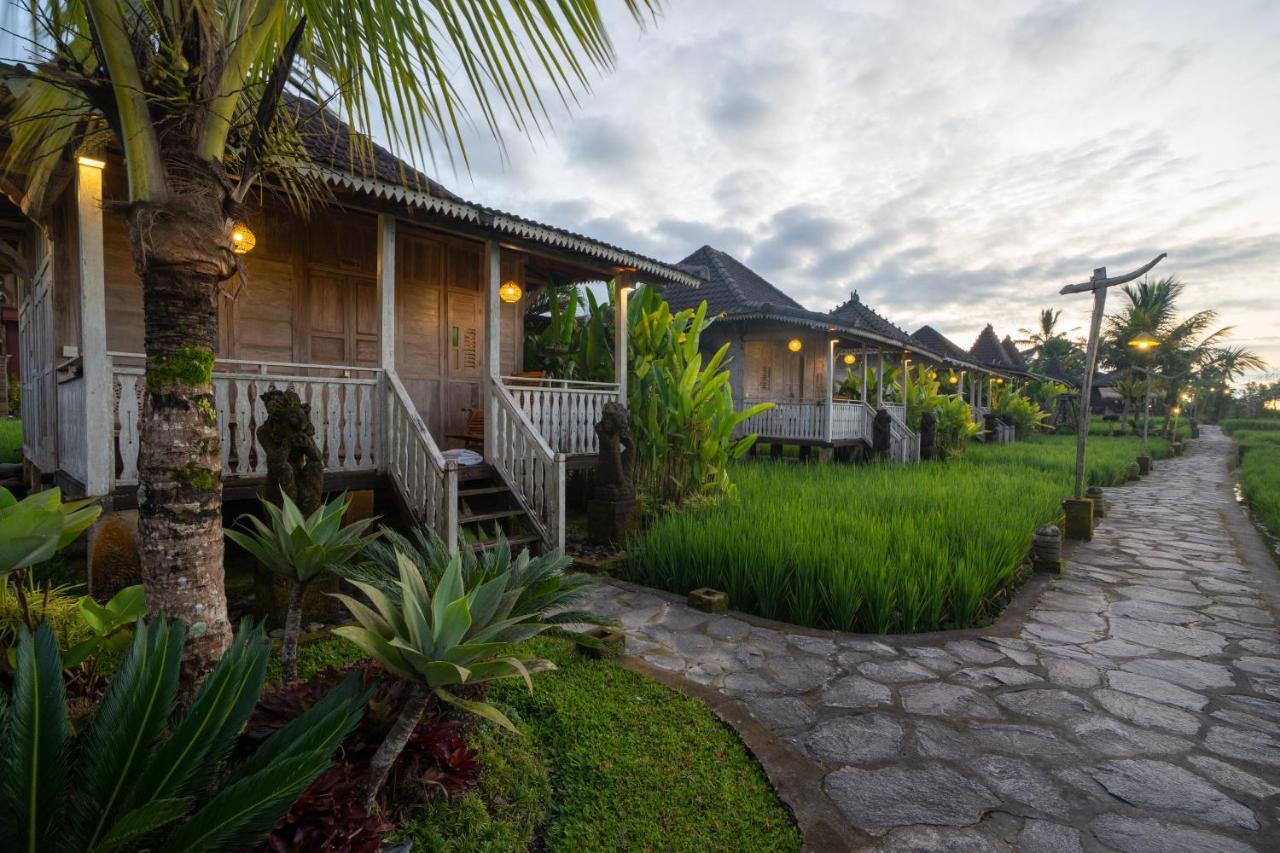 Uma Sebatu Villa Tegallalang  Exteriér fotografie