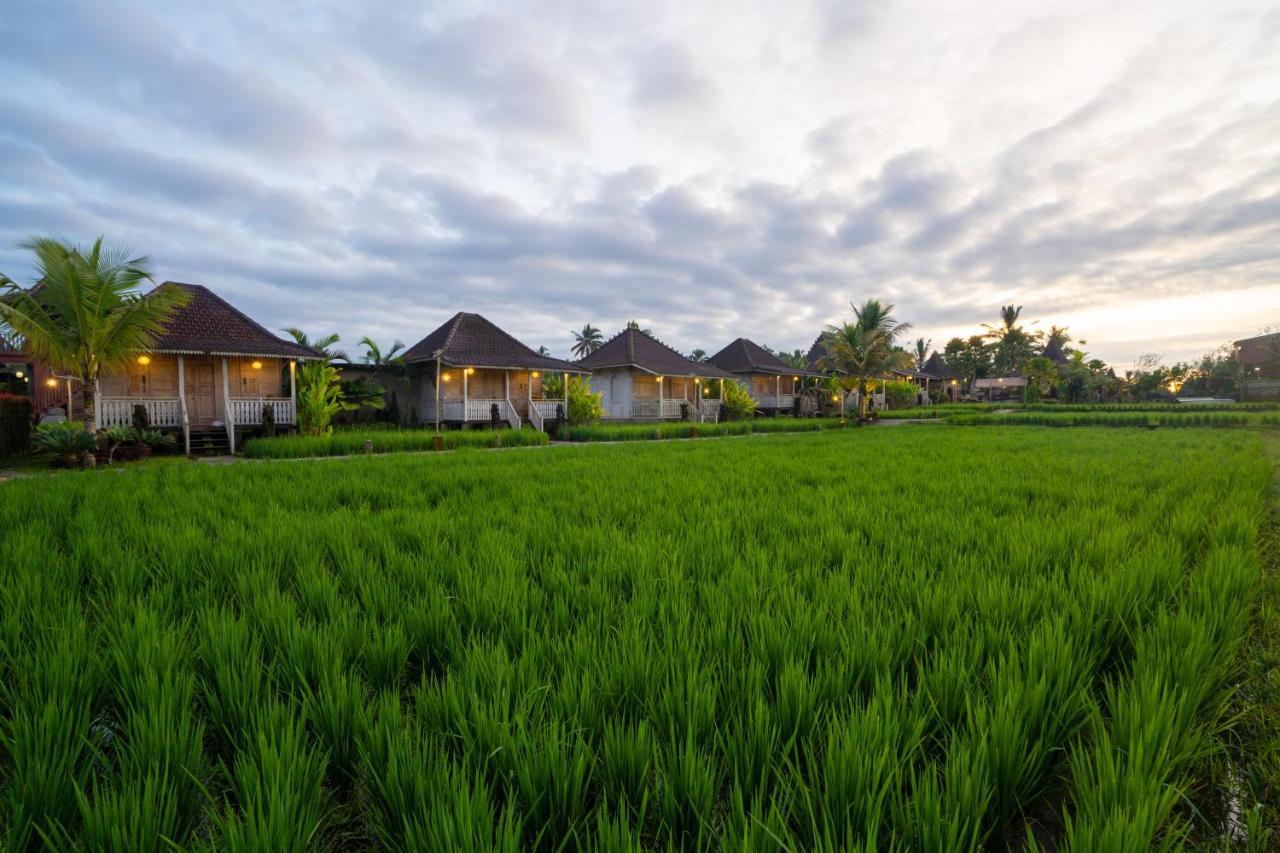 Uma Sebatu Villa Tegallalang  Exteriér fotografie