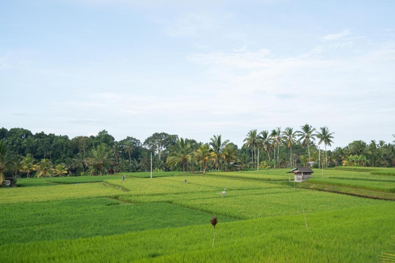 Uma Sebatu Villa Tegallalang  Exteriér fotografie