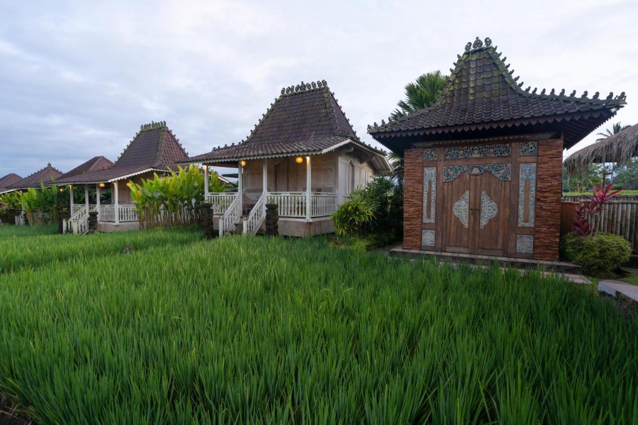 Uma Sebatu Villa Tegallalang  Exteriér fotografie